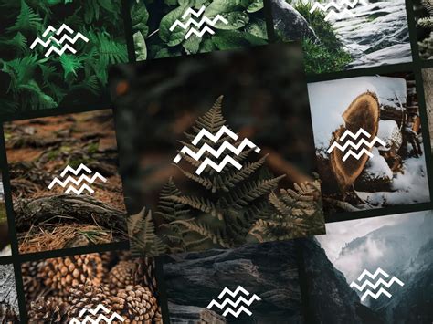 High Quality Graphics 的图像结果