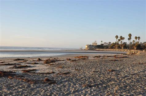 24 Best Beaches in San Diego In 2023 - D Wanderer