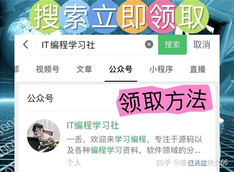 Pyserial Python 的图像结果
