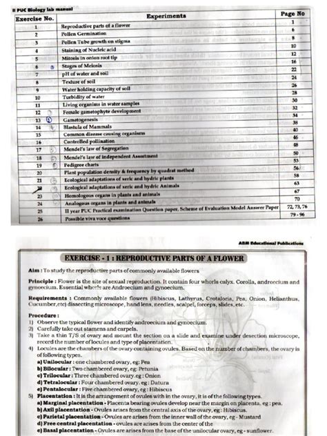 Image result for Python Program Lab Manual 2 PUC