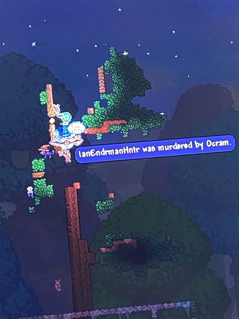 Image result for Calamity Rogue Class Overview