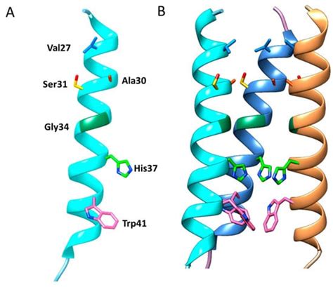 Influenza Viruses: Harnessing the Crucial Role of the M2 Ion-Channel ...