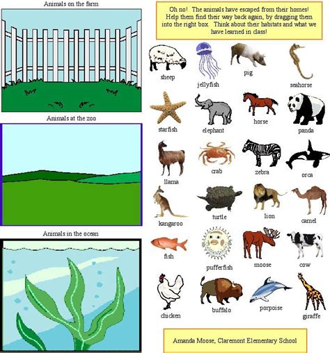 Image result for Common Animals Classification Chart