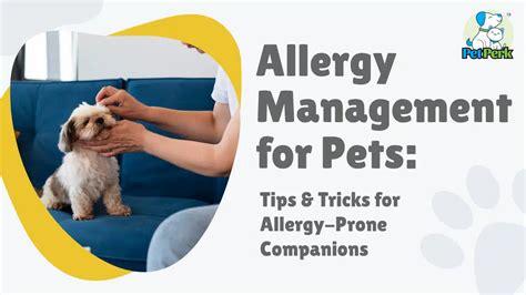 Allergy Management for Pets: Tips & Tricks for Allergy-Prone Companion ...