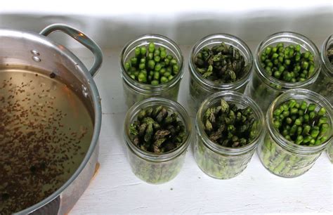 Pickled Asparagus - The Daring Gourmet