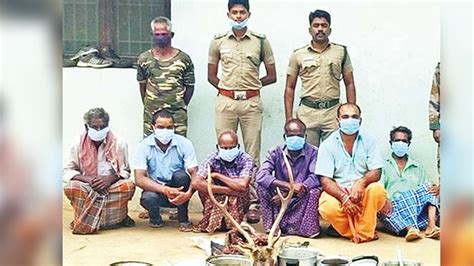 Forest officials arrest 11 for poaching & selling venison