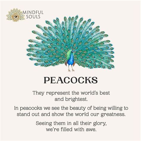 11 peacock spiritual meanings and symbolism spiritually – Artofit
