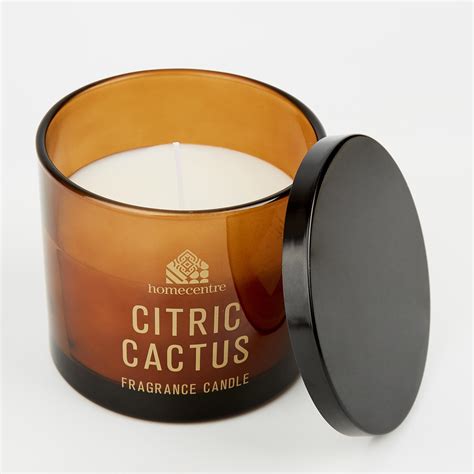 Buy Enchanted Citrus Cactus Scented Jar Candle from Home Centre at just ...