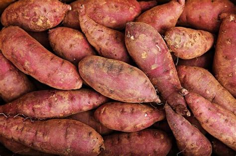 5 Ways To Consume Sweet Potato This Winter For Maximum Health Benefits ...