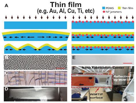 Synthesis of Wrinkle-Free Metallic Thin Films in Polymer by Interfacial ...