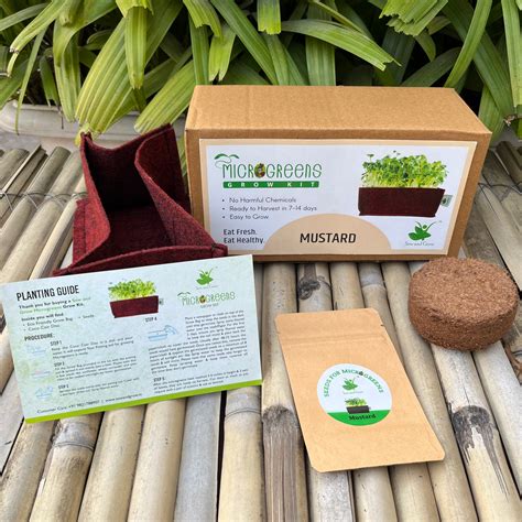 Microgreens Grow Kit: Mustard 20 grams || Easy to Use Kit for Beginner ...