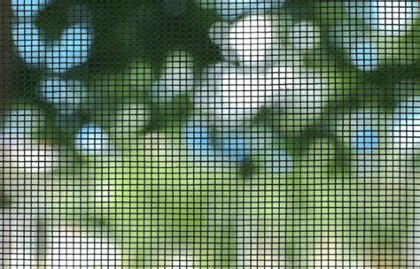 Image result for Window Bug Screens