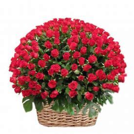 Send Rose Bouquet, Rose Delivery India, Bouquet Of Roses - OD