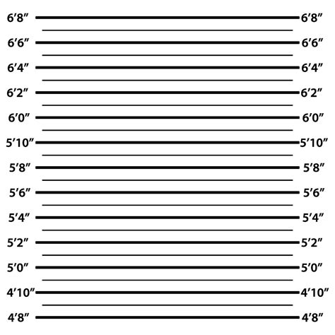 Mugshot poster with scale ft, feet. Crime suspect by police, prison ...