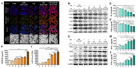 Functional pH-Responsive Nanoparticles for Immune Reprogramming in MSS ...