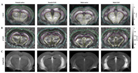Biology | Special Issue : Pathological Changes of the Extracellular ...