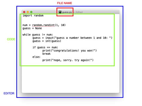 Image result for DIY Python Code