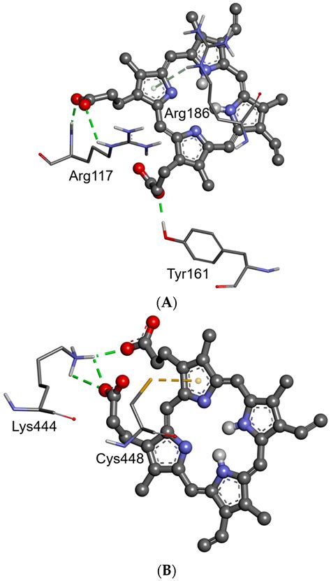 Characteristics of the Protoporphyrin IX Binding Sites on Human Serum ...