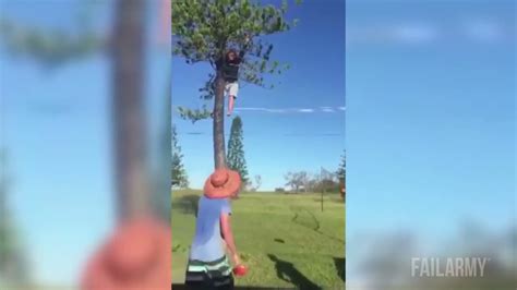 Logging Tree Fails Compilation 的图像结果