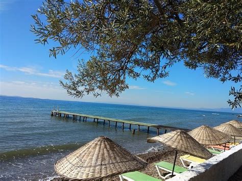 NEVERLAND CAMPING (Canakkale) - Campground Reviews & Photos - Tripadvisor