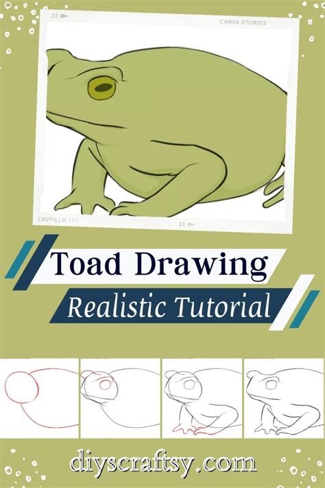 Image result for Toad Basic Drawing