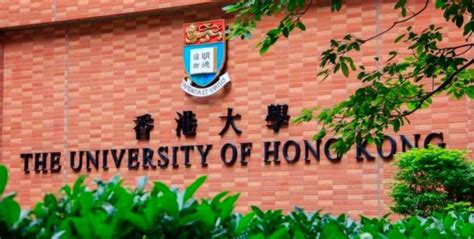 如何申请香港大学本科？-美梭教育