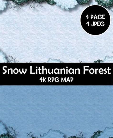 Image result for Snowy Forest RPG Map