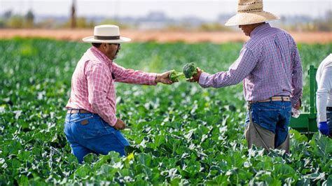 Ark Survival Farming Tutorial 的图像结果