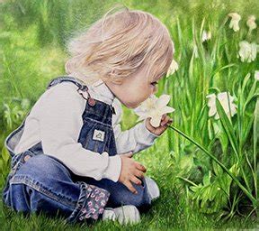 Image result for Recent Bonny Snowdon Tutorials