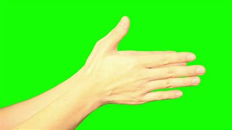 Hand Camera Greenscreen 的图像结果