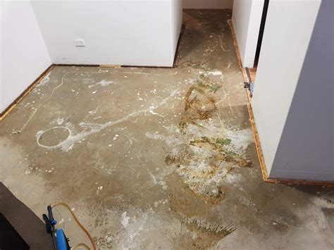 Image result for Structural Drier