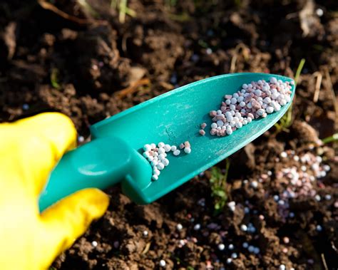Does Fertilizer Go Bad? How To Make Plant Food Last Longer | Gardening Know How