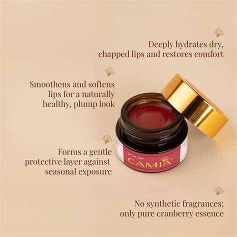 Cranberry Lip Balm - 100% Pure & Natural – Plug N Play Biosciences Pvt ...