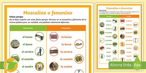 Póster: Falsas parejas ¿masculino o femenino? - Twinkl