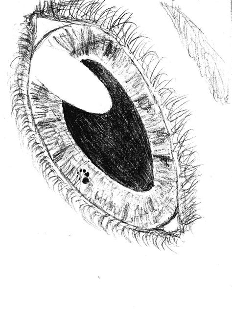 Alien Eye Types Drawing 的图像结果