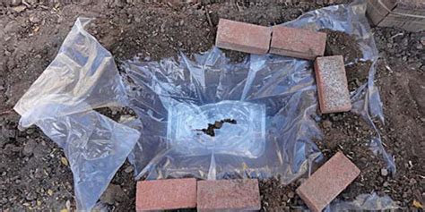 Environmental Science Project Making 的图像结果