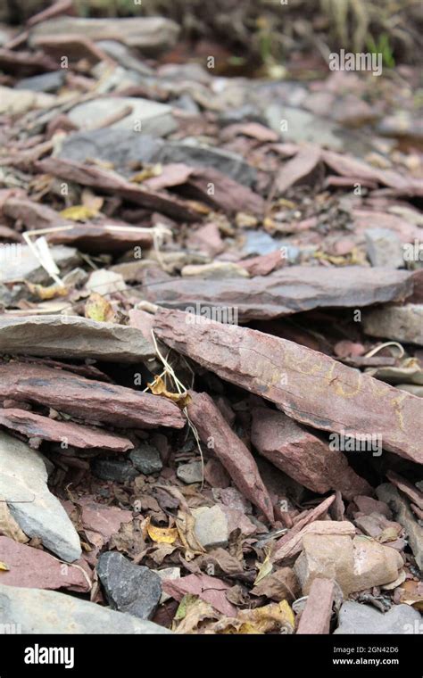 Shale Drilling 的图像结果