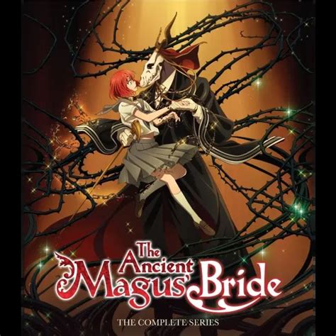 Image result for Ancient Magus Bride FUNimation