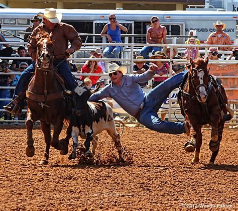 Image result for Team Roping.com