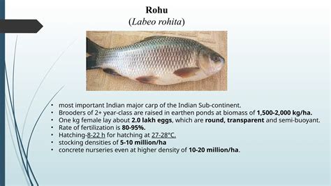 Understanding The Biology Of Indian And Exotic Major Carps
