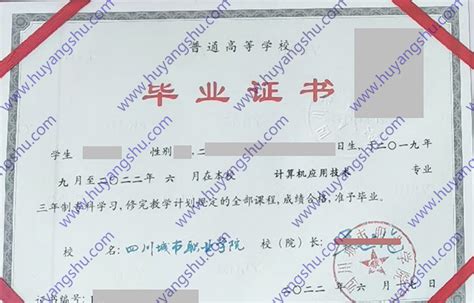 四川城市职业学院历届毕业证样本图片-胡杨树样本网