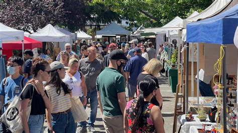 Image result for Salt Spring Tutorial Lfiddle