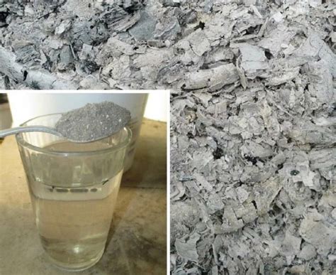 ЗОЛА И УКСУС ДЛЯ ОБИЛЬНОГО УРОЖАЯ ОГУРЦОВ 勒