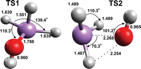Transition State Analog 的图像结果