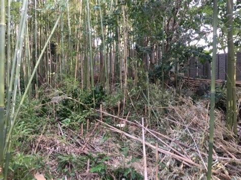 竹の伐採 – 惣社宮