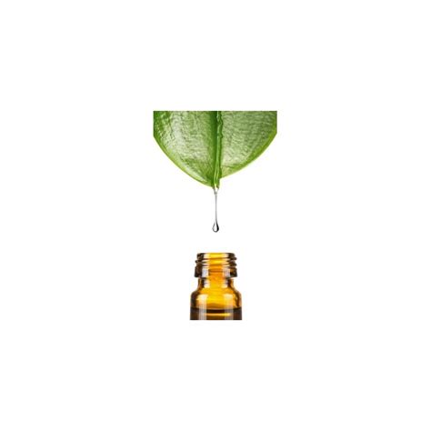 Dehydroacetic Acid (and) Benzyl Alcohol (and) Water - Geogard® 221 ...