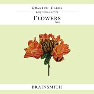 Buy Brainsmith Quantum Flash Cards for Kids - Flowers Theme, Non ...