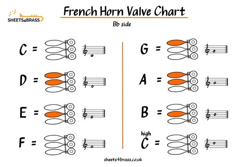 French Horn Note Chart at Tonya Pope blog