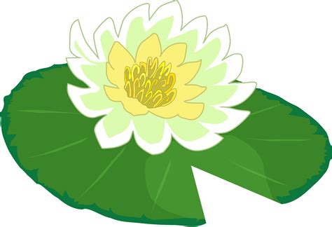 Lily Pad Clipart - ClipArt Best