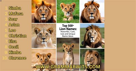 Top 500+ Lion Names: Powerful, Cute, and Unique Name Ideas